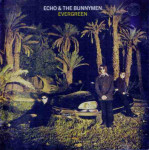 Echo & The Bunnymen - Evergreen